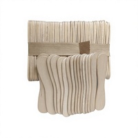 Bâtonnets de crème glacée personnalisés, jetables, en bois de bouleau naturel, écologiques, durables, portables, pour la crème glacée faite maison
