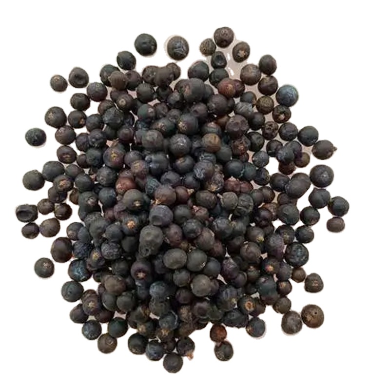 Du Song Zi grosir Juniper Berry Spice Dry Juniper Berry ekstrak Material mentah Juniperus Communis