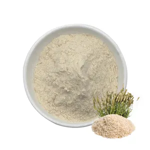 HERBASEA Psyllium Husk With Export Friendly Price And Psyllium Husk Powder