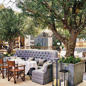 <span class=keywords><strong>Grand</strong></span> <span class=keywords><strong>olivier</strong></span> artificiel à <span class=keywords><strong>prix</strong></span> d'usine, énorme arbre ornemental en fibre de verre pour les restaurants d'intérieur et les centres commerciaux. - Product Image 6
