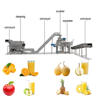 Productielijn voor het maken van fruitsap, sinaasappel-, appel-, gember-, mango-, citroen- en ananassap met koudgeperste sapcentrifuge.