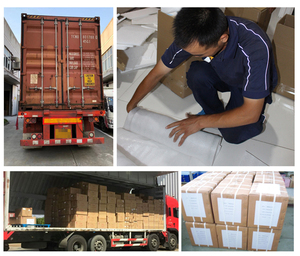 ม้ามตับอ่อนถุงน้ำดีและแบบจำลองกายวิภาคของลำไส้เล็กส่วนต้นอวัยวะย่อยอาหารภายในทางการแพทย์ - Product Image 6