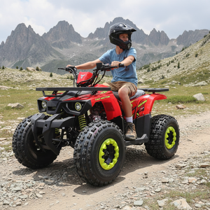 <span class=keywords><strong>Quad</strong></span> de Course Tao Motor pour Enfants Moteur Essence 125CC Transmission Automatique Démarrage <span class=keywords><strong>Électrique</strong></span> Transmission par Chaîne 2x2 - Product Image 6