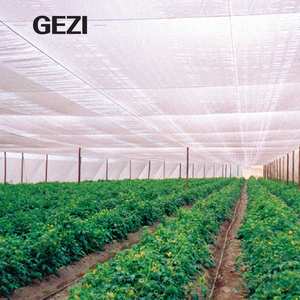 Tomate plante arbuste serre arbre fruitier blanc mouche insecte barrière maille filet coupe personnalisée pour jardin vignoble Agriculture cerceaux - Product Image 2