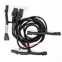 Fil de harnais de moto CG150 Câblage pour tout le corps Câbles électriques de moto Fils de harnais