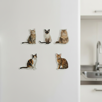 Aimant de réfrigérateur personnalisé en acrylique pour animaux de compagnie, imprimé en couleur, autocollant magnétique avec logo personnalisé pour la décoration intérieure