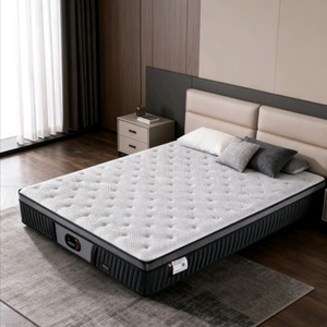 Latex naturel Anti-acariens protection de la colonne vertébrale Silencieux Rebond Lent Hybride Matelas Antibactérien Respirant Maison Hôtel Chambre - Product Image 6