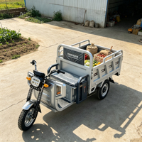 Tricycle utilitaire électrique pliable à trois roues avec cabine et benne basculante pour l'agriculture, capacité 500 kg, OEM