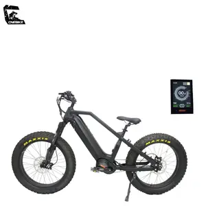 LEILI Power sport 1000W vélo électrique à gros pneus bafang mid drive motor électrique dirt bike en double batterie