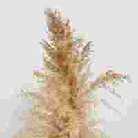 Faux bouquet de plantes en pot, fleurs en soie, parterres de fleurs, gazon artificiel blanc Astro Turf, plante d'oignon artificielle