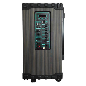 10 Inch 80W <b>Bluetooth</b> Portable Speaker With SD <b>USB</b> Rechargeable Trolley Design - Product Image 5