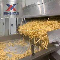 Ligne de production industrielle de frites surgelées Sensitar haute productivité 1000 kg/h, machine à fabriquer des chips de pommes de terre