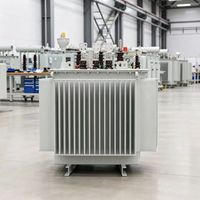 Transformateur de puissance immergé dans l'huile à noyau en alliage amorphe MV/HV 1800KVA 3000KVA à enroulement en cuivre pour usine industrielle