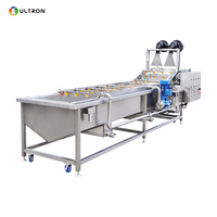 Automatische Ozon Chili Paddestoel Dragon Fruit Papaya Wasmachine