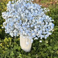 Glace bleu gypsophile fleurs semi-séchées frais bricolage ornements floraux faits à la main pour les filles saint valentin remise des diplômes pâques