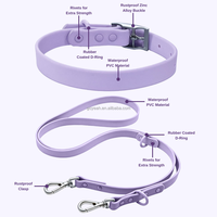 Collier pour chien personnalisé à faire soi-même avec nom, laisse pour chien en PVC imperméable, colliers ajustables pour animaux de compagnie avec breloques lettres
