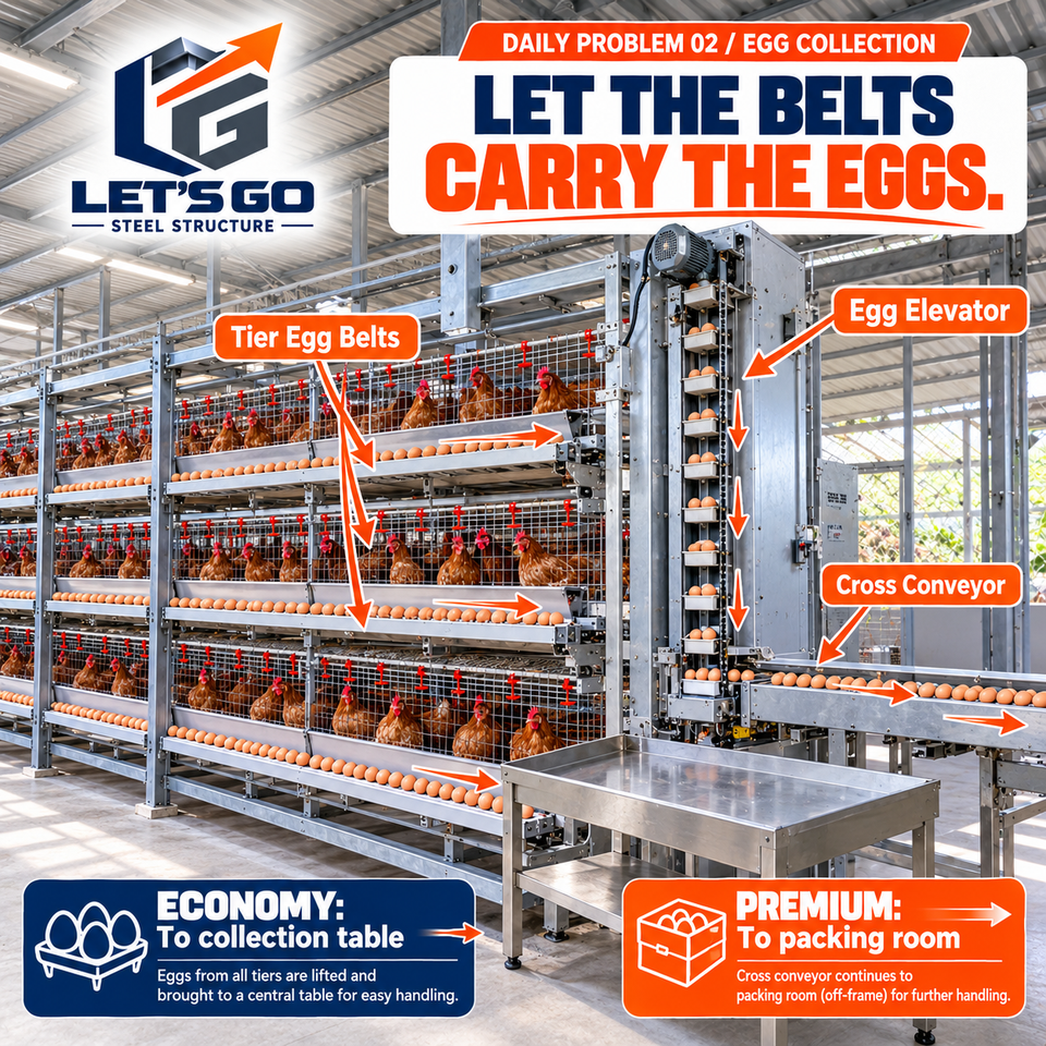 Galvanized Steel Structure Cage Layer Chicken House Prefabricated ...