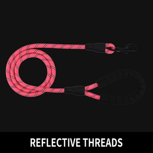 2025 Hot Sale Adjustable Nylon Dog slip Leash Durable Reflective Dog Leash for Pets <b>Walking</b> - Product Image 2
