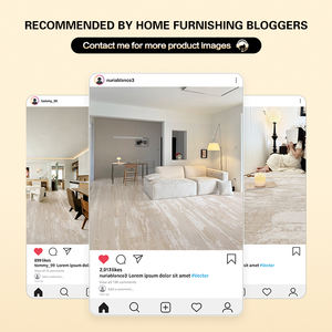 Dsermer Alfombra Moderna Impermeable Beige Nuevo Modelo para Áreas de la Casa Tapetes para Sala de Estar Alfombras y Tapetes Esponjosos Moqueta de Pared a Pared - Product Image 5