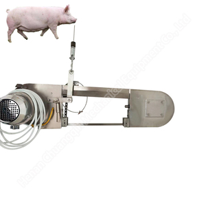 Équipement d'abattage de viande pistolet d'étourdissement dans l'équipement d'abattage Abattage de porcs - Product Image 1