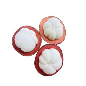 Mangostán Congelado IQF Premium 100% Pulpa Blanca - Venta al por Mayor Directa de Fábrica para la Industria Alimentaria // Sra. Reina - Product Image 2