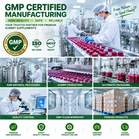 Gummies de fibres alimentaires quotidiennes sans sucre, prébiotiques à la racine de chicorée, végétaliennes, marque privée, vente en gros en vrac
