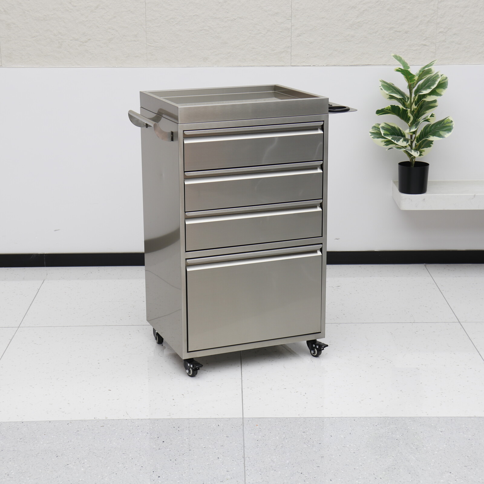 Acciaio inossidabile in colore argento