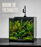 Aquarium carré en verre haut de gamme avec filtration et éclairage intégrés, solution complète pour aquarium, service de vente en gros ODM OEM