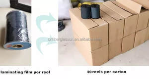 Vente d'usine cordon en Polyester pour écran pliant, maille plissée, filet, fil de traction pour moustiquaire plissée, corde en maille - Product Image 6