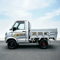 Camionnette quatre roues motrices, véhicule à énergie nouvelle avec moteur 2000W, fourgon électrique pour le transport de marchandises agricoles