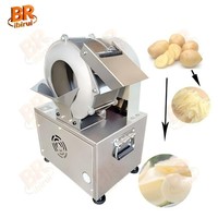 Verstelbare en geschikte snijmachine voor groenteverwerking, crusher, radijs-snijder, knoflook-snijder, wortel-frites snijmachine