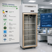 Réfrigérateur commercial vertical à porte vitrée simple pour boissons, avec refroidissement par ventilateur et éclairage LED, idéal pour café, salon de thé, pub