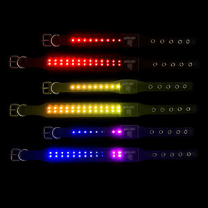 Bluetooth App Control Oplaadbaar Voorkom Verlies Waarschuwing Kleurrijke Knipperende Led Licht Halsband Benodigdheden Voor Nachtelijke Uitlaathond - Product Image 3