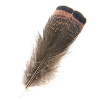 Plumes de dinde de couleur naturelle, plumes de couette d'aile de dinde pour l'artisanat, bijoux de carnaval, accessoires d'artisanat