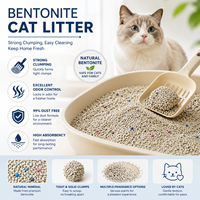 Litière pour chat en bentonite écologique OEM ODM, sûre, non toxique, à granulométrie rigide, haute absorption, sans poussière, pour animaux de compagnie