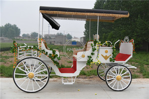 Customizable Modern Electric Royal Wedding Carriage Double-Row Cinderella Car 4 Wheels Horse Drawn Style 2-4 Persons Capacity - Product Image 3