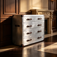 Commode de rangement industrielle en aluminium aviation, style valise vintage, pour salon et chambre