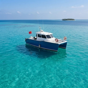 Catamarano a Doppio Scafo in Alluminio da 32,5 Piedi per 12 Persone, Imbarcazione Marina Saldata con Motore Fuoribordo per Tour su Isole, Sport e Intrattenimento - Product Image 4