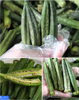 Chips de Okra Fritos Crujientes al por Mayor, Textura Dura Salada, Snack Natural de Okra