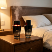 Diffuseur d'arômes automatique et personnalisé pour intérieur et voiture, vaporisateur 200 ml, parfum longue durée, coffrets cadeaux