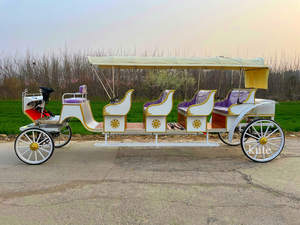 Voiture de tourisme électrique spéciale avec auvent pour le transport touristique et les excursions en calèche - Product Image 6