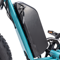 Mario Legal Vélo électrique 20 pouces à gros pneus avec moteur de moyeu Bafang 250W