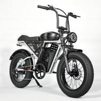 ZUMI US Brazil Vélo Électrique Rétro à Pneus Larges pour Urbains, OEM ODM Personnalisé, Batterie 15Ah, Moteur Arrière 1000W, Fabricant Grossiste