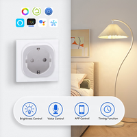 Interrupteur à prise Zigbee 1 canal Bilihondim avec surveillance de la puissance 200W, compatible Google Home et Alexa, contrôle sans fil