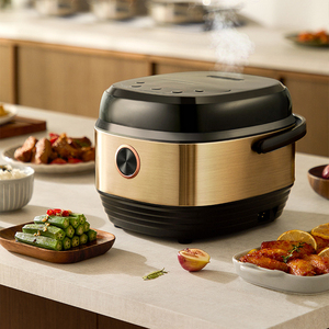 2024 nouveau mini cuiseur à riz sain électrique à faible teneur <span class=keywords><strong>en</strong></span> sucre 5l pour cuire le riz, la bouillie, le gâteau et les fonctions 12 <span class=keywords><strong>en</strong></span> <span class=keywords><strong>1</strong></span> - Product Image 5
