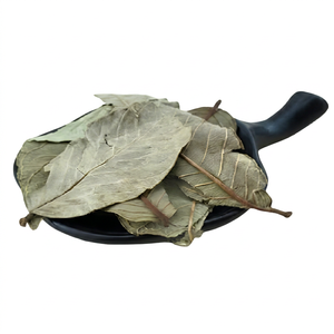 Té de Alcachofa Premium Secado al Sol, Empaque para Regalo, Directo de Fábrica, Té Herbal de Grado Alimenticio, Fabricante OEM, Vietnam - Product Image 1