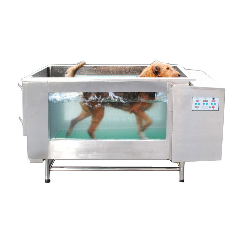 Hot New Electric Hydrotherapy Water Treadmill for Dogs Veterinary ...
