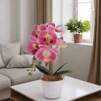 Orchidée artificielle réaliste de haute qualité en pot, style bonsaï, pour décoration de maison et de remise de diplôme