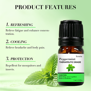 Huile Essentielle Pure de Menthe Poivrée Marque Blanche – Rafraîchit l'esprit, Soulage la Douleur, Répulsif Anti-Insectes – OEM ODM Étiquette Personnalisée 5ml - Product Image 2
