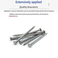 Clous en fer de qualité industrielle Q195, finition lisse, non galvanisés, pointe acérée, pour le travail du bois en intérieur et l'assemblage de meubles